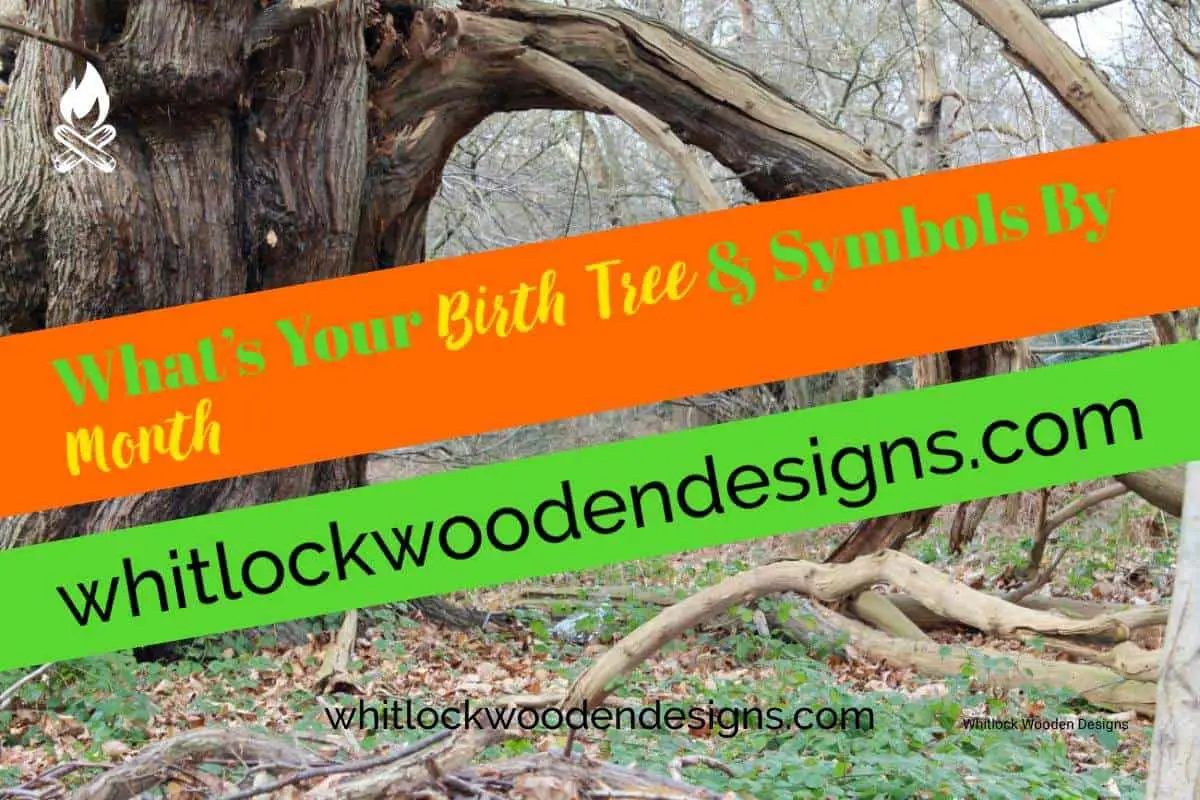 What’s Your Birth Tree & Symbols By Month: Wood, Birthstones