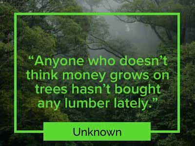 expensive woods and money quote