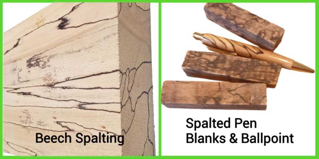 Spalting on wood block and pen blanks