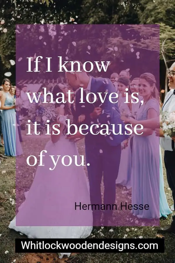 phrase about you by hermann hesse