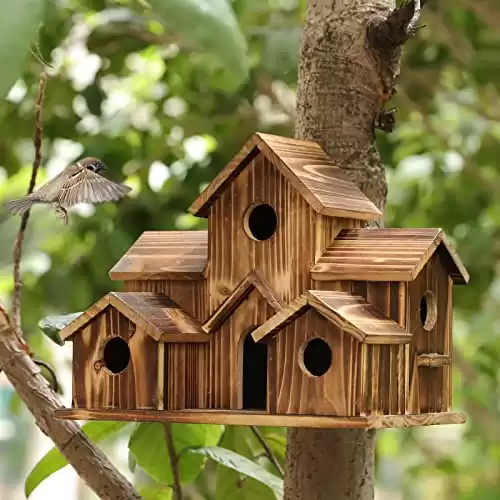 29. A Hanging Birdhouse
